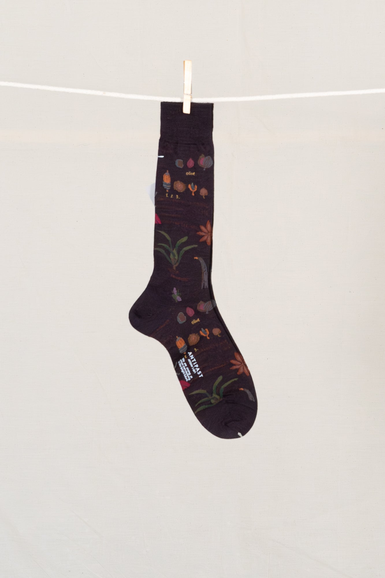 Antipast Botanical XV Men's Socks - Wine