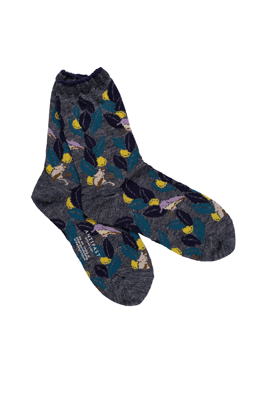 Antipast Women's Olive+Bird Socks