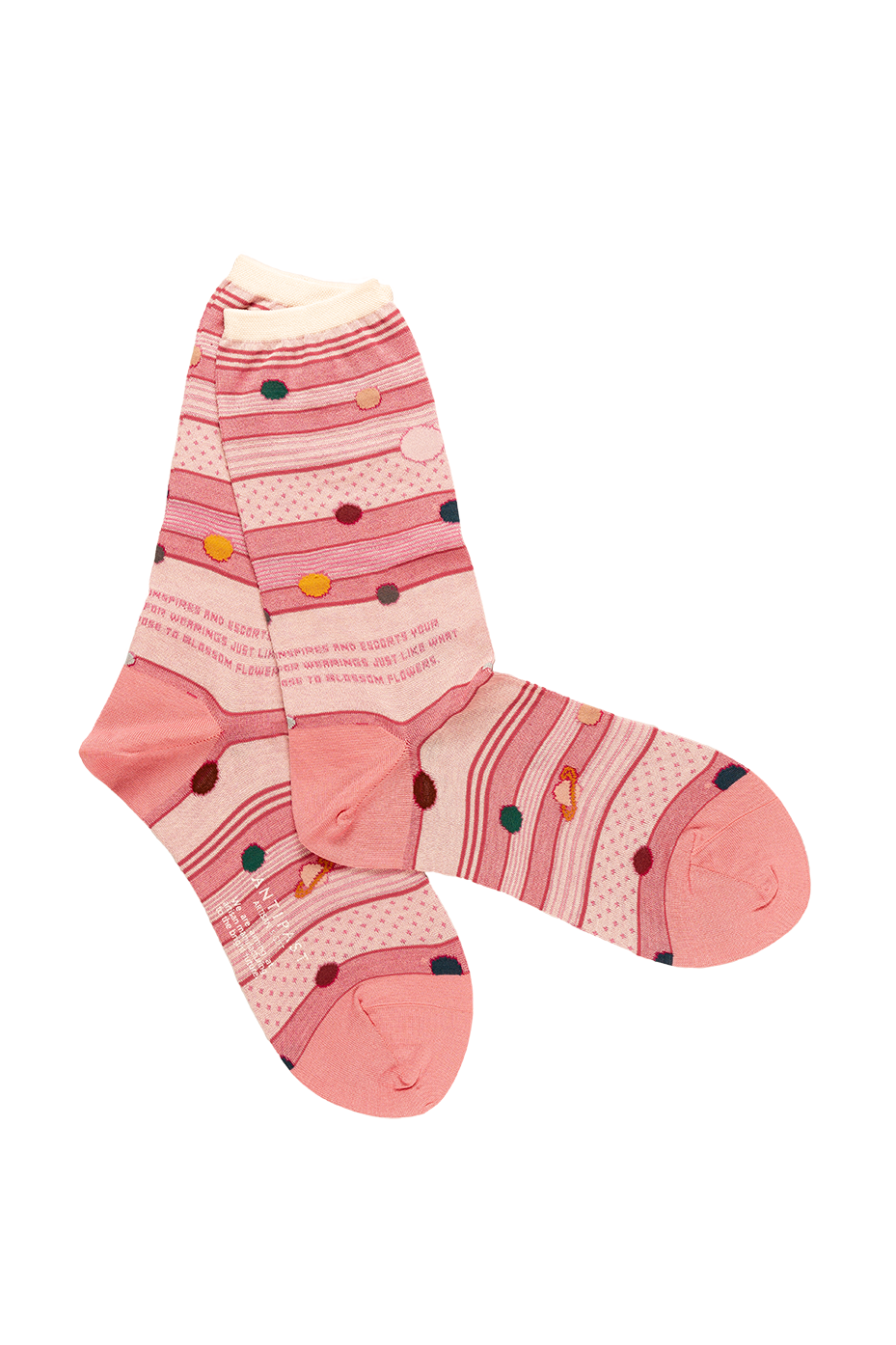 Antipast Women's Planet Orbit Socks