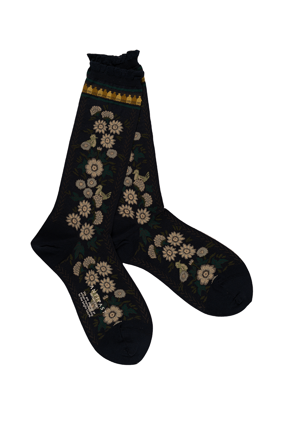 Antipast Zalipiu Mural Women's Socks