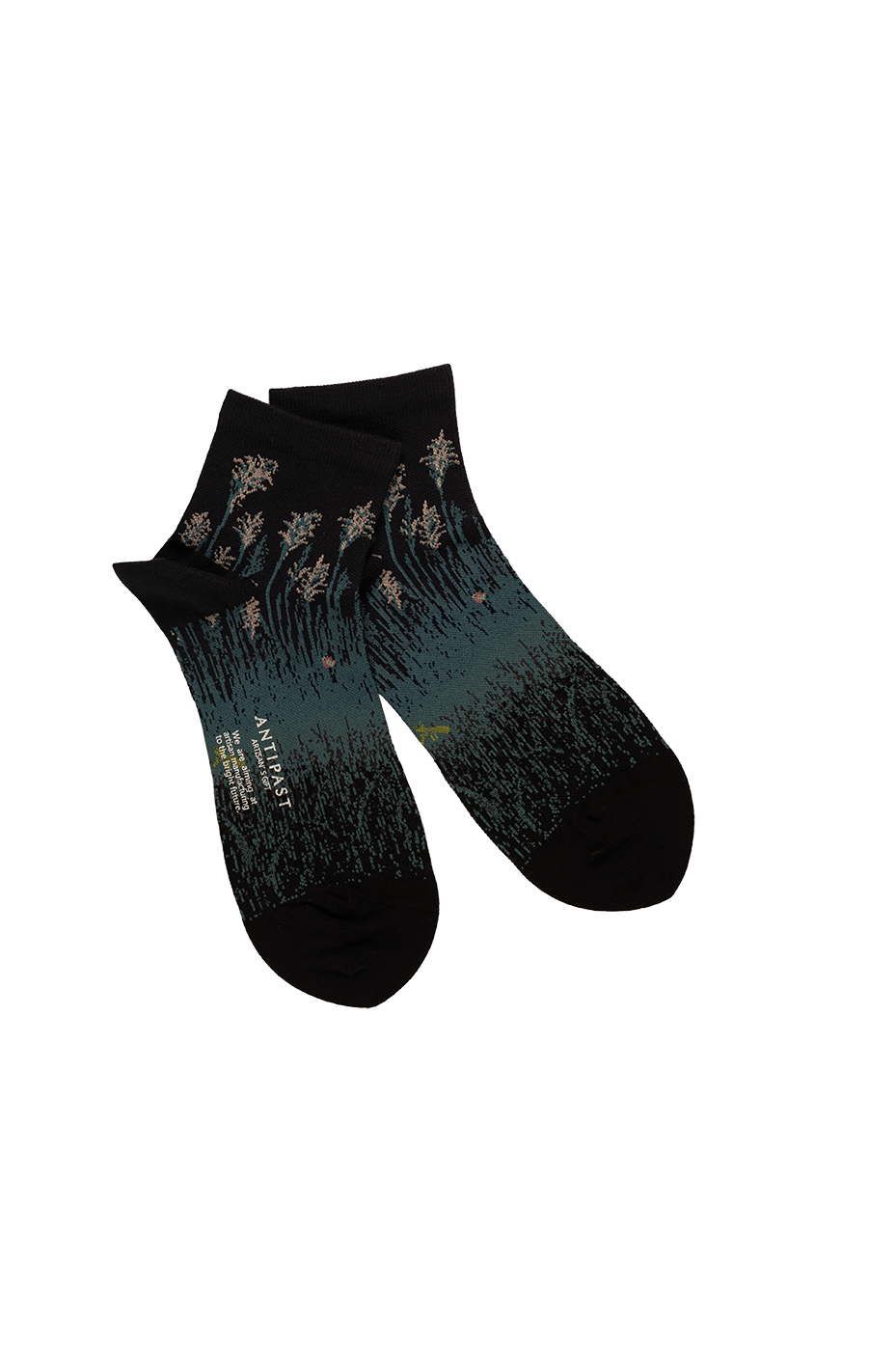 Antipast Women's Compression VIII Socks