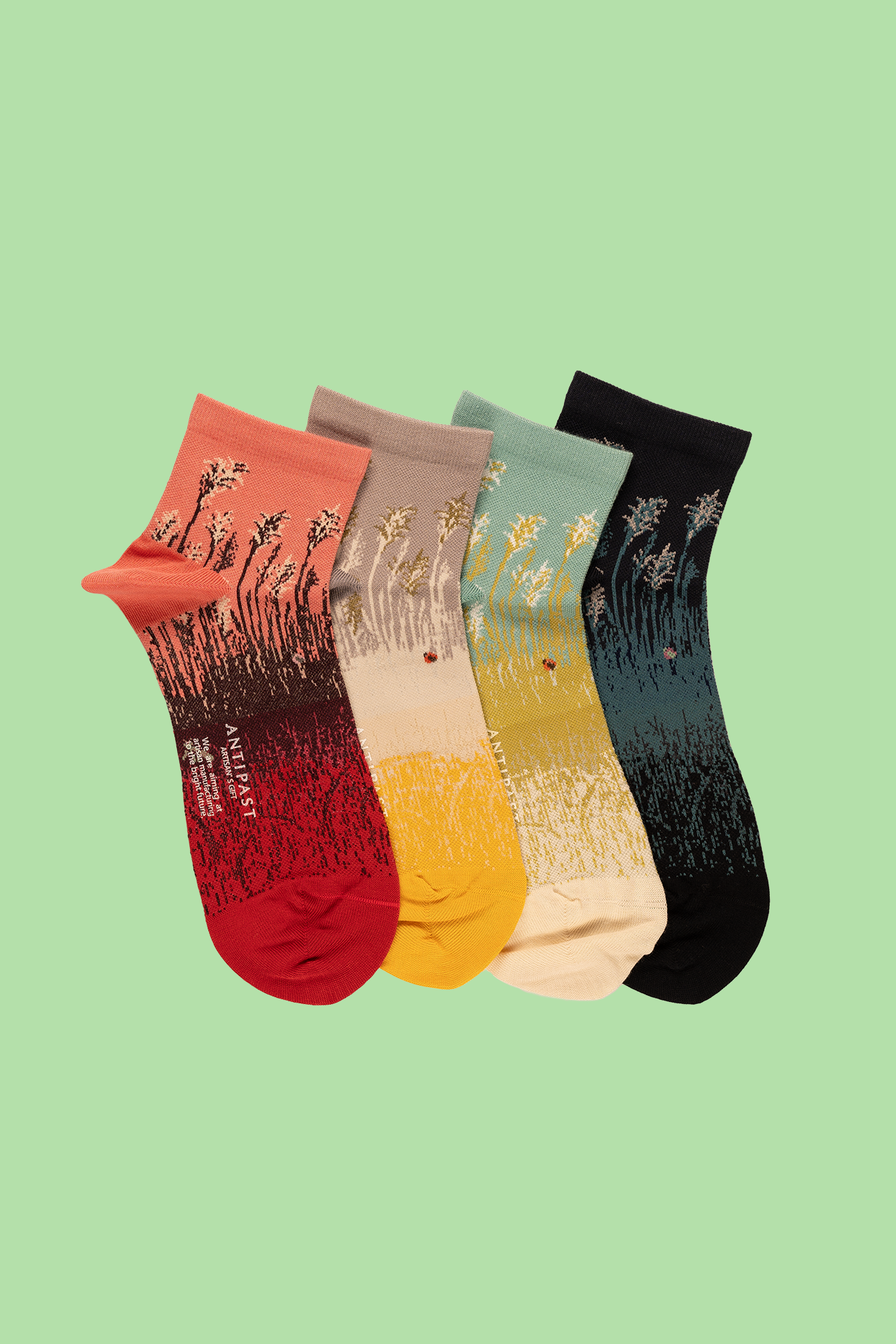 Antipast Women's Compression VIII Socks