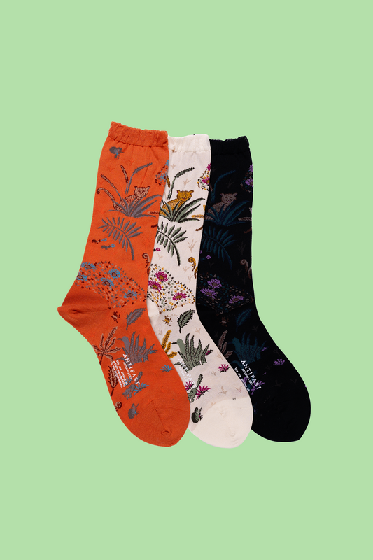Antipast Women's The Safari Socks