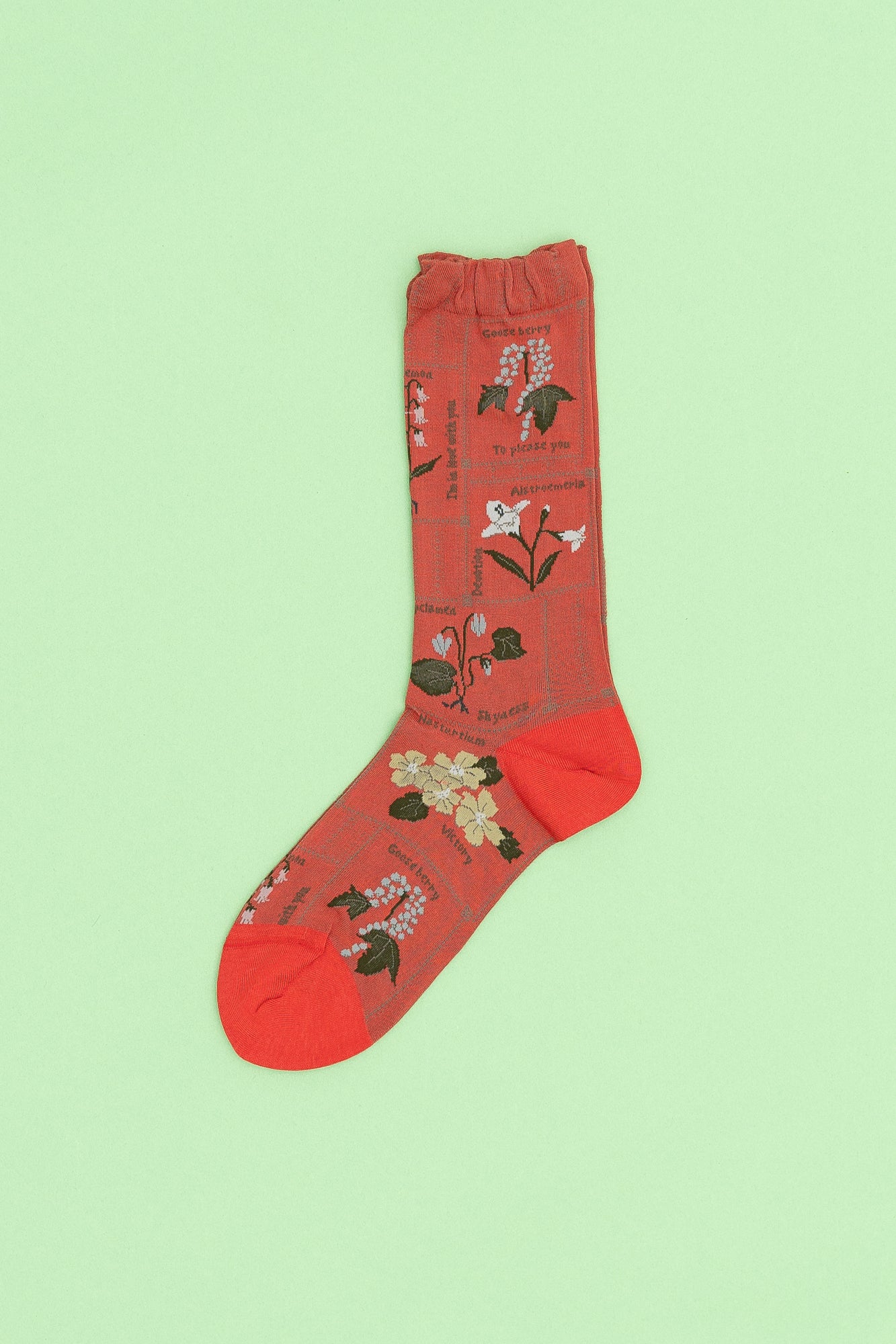 Antipast Women's Botanical XIII Socks