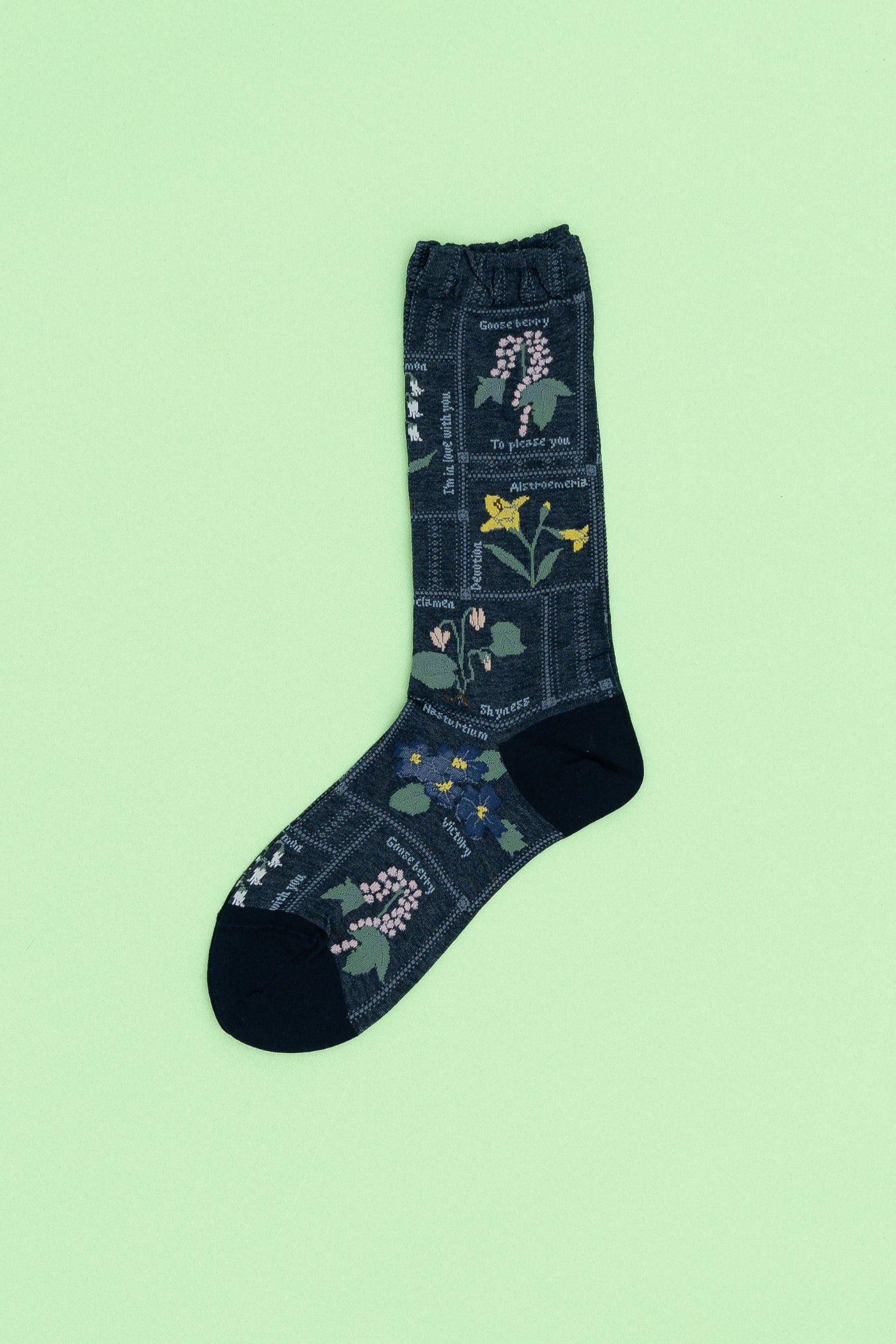 Antipast Women's Botanical XIII Socks