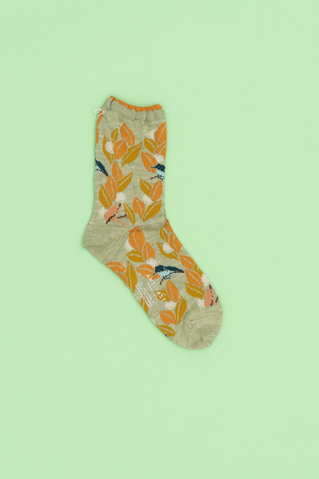 Antipast Women's Olive+Bird Socks